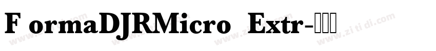 F ormaDJRMicro  Extr字体转换